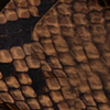 Cobra Brown
